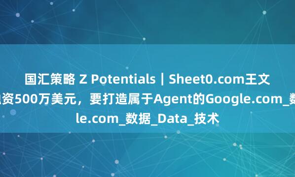国汇策略 Z Potentials｜Sheet0.com王文锋，两人团队融资500万美元，要打造属于Agent的Google.com_数据_Data_技术