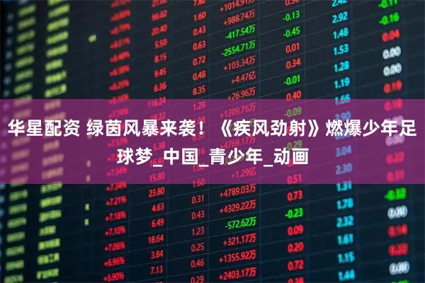 华星配资 绿茵风暴来袭！《疾风劲射》燃爆少年足球梦_中国_青少年_动画