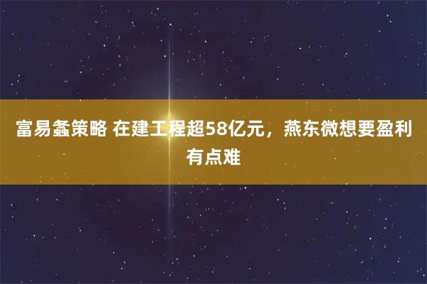 富易螽策略 在建工程超58亿元，燕东微想要盈利有点难