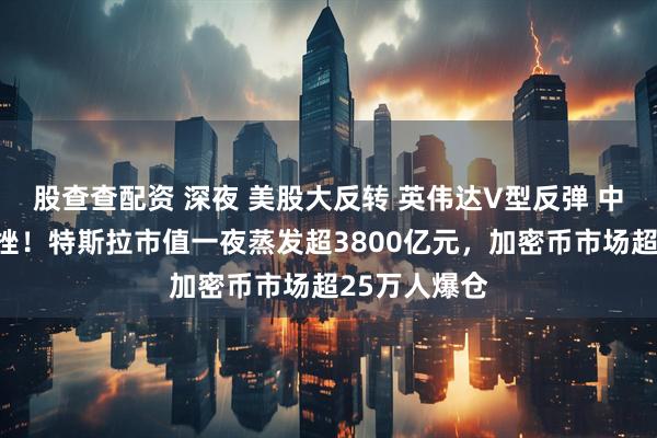 股查查配资 深夜 美股大反转 英伟达V型反弹 中概股多数下挫！特斯拉市值一夜蒸发超3800亿元，加密币市场超25万人爆仓