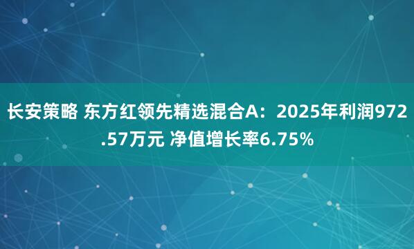 长安策略 东方红领先精选混合A：2025年利润972.57万元 净值增长率6.75%